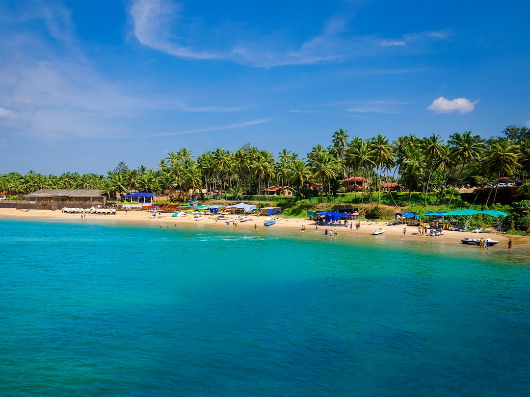 Scenic Goa coastline on a sunny day
